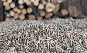 Biofuel pellets