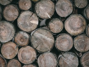 wooden logs lying flat on each other