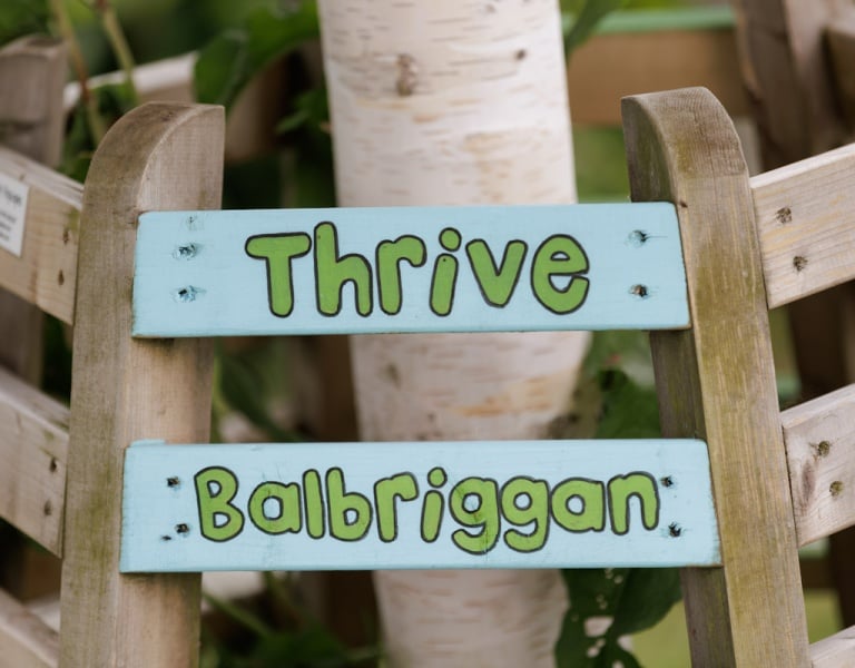 Thrive Balbriggan sign