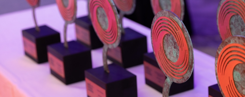 SEAI-2022-Energy-Awards-Displayed