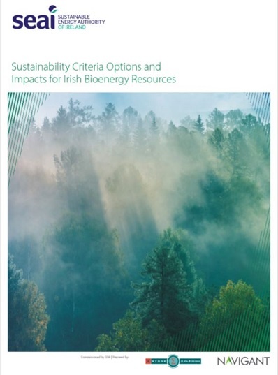 Bioenergy-report-image
