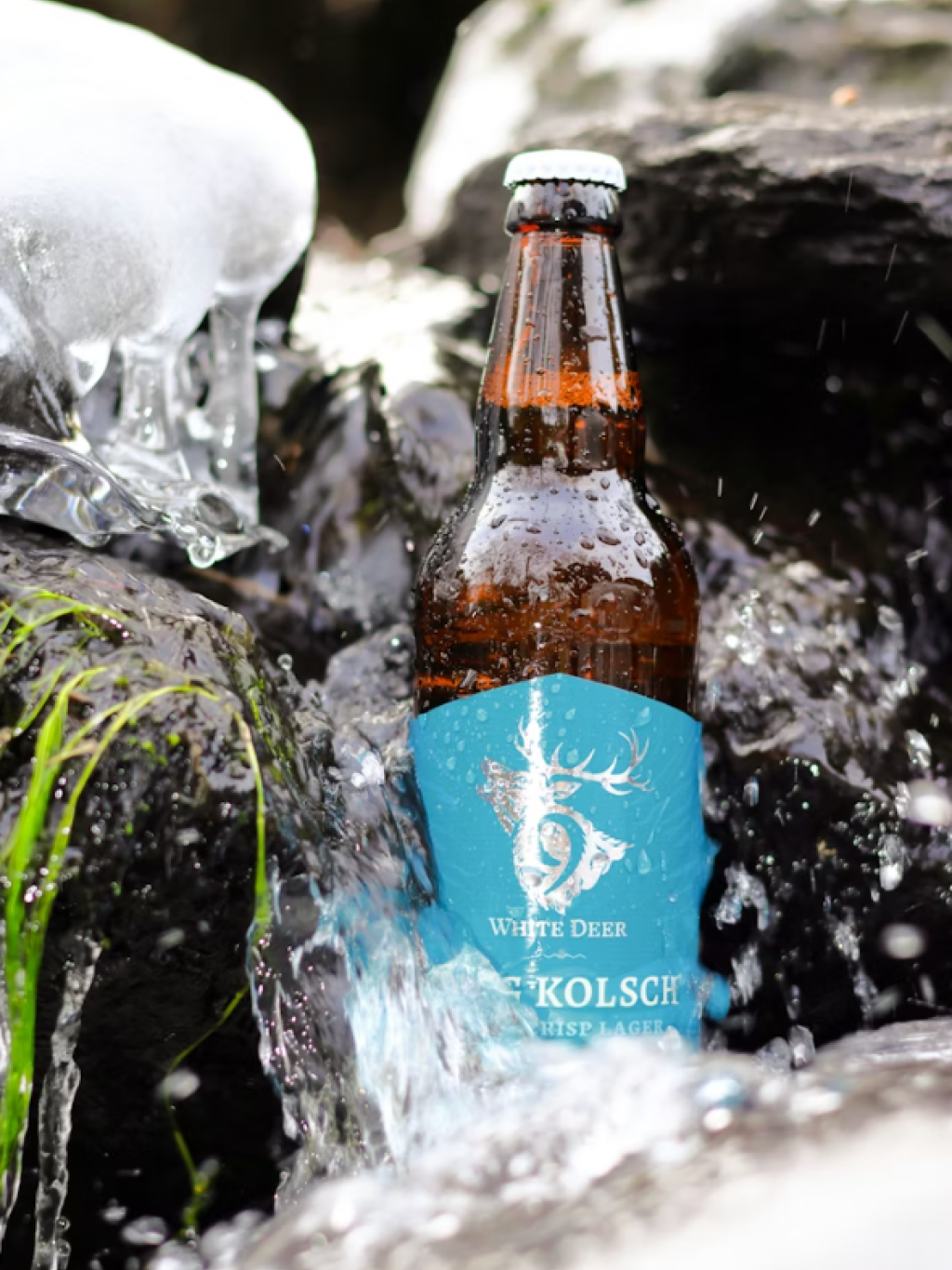 White Deer beer