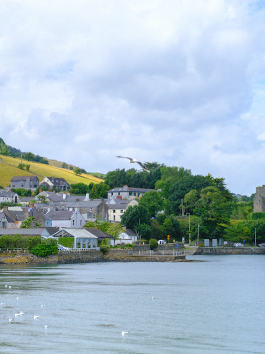 Carlingford, Co. Louth as seen from the lough