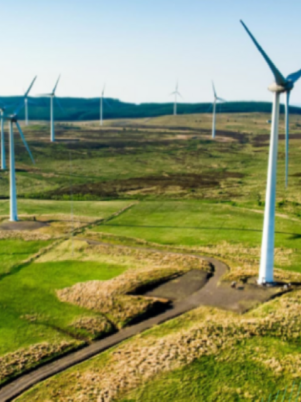 Wind Turbines in a field