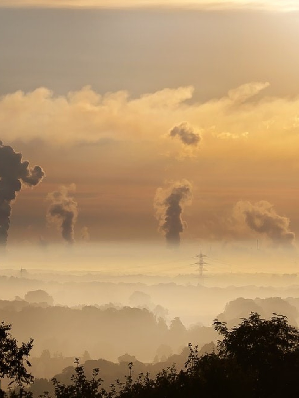 carbon_emissions