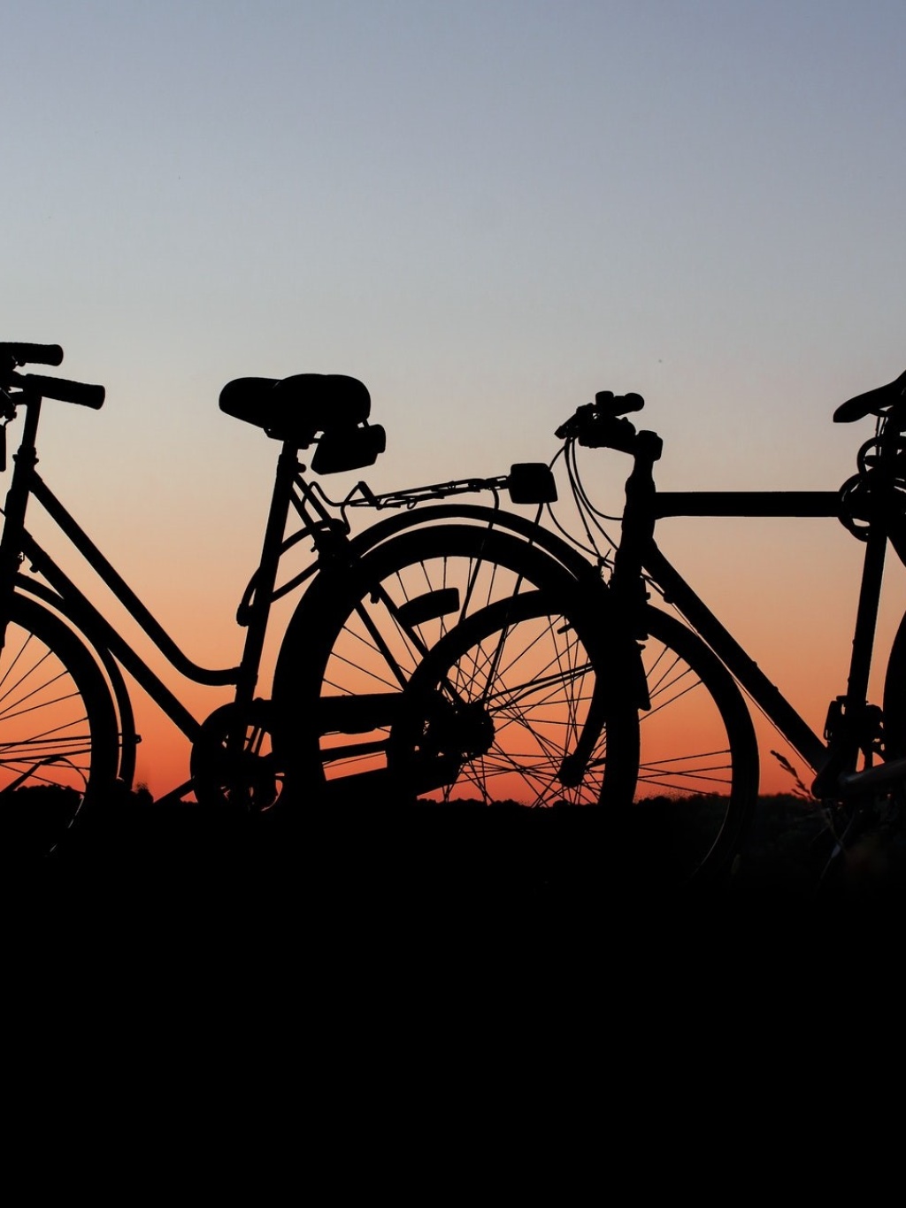 bicycles