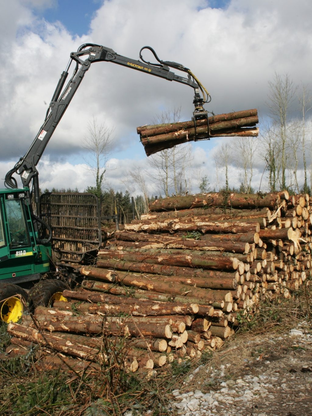 coillte-wood