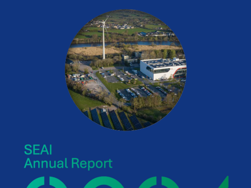 SEAI Annual Report 2024